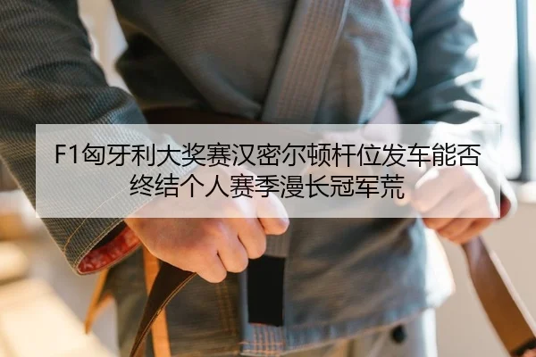 F1匈牙利大奖赛汉密尔顿杆位发车能否终结个人赛季漫长冠军荒