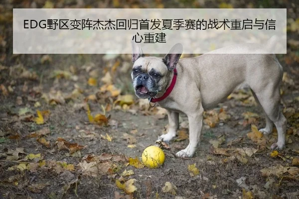 EDG野区变阵杰杰回归首发夏季赛的战术重启与信心重建